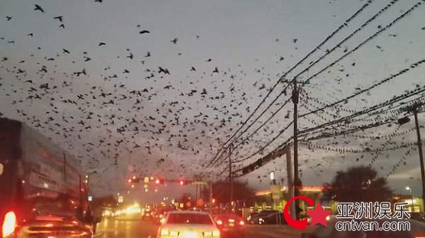 ڱա־Ӱʦϣθġ