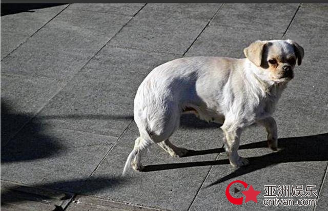С߷̰ߡֵķзС˭񾭣
