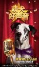斑点狗-“金话筒”角色海报