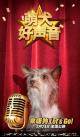 小耳朵-“金话筒”角色海报