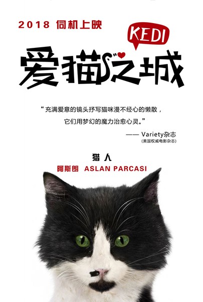 《爱猫之城》萌猫角色海报发布 七大异域风情猫萌力来袭