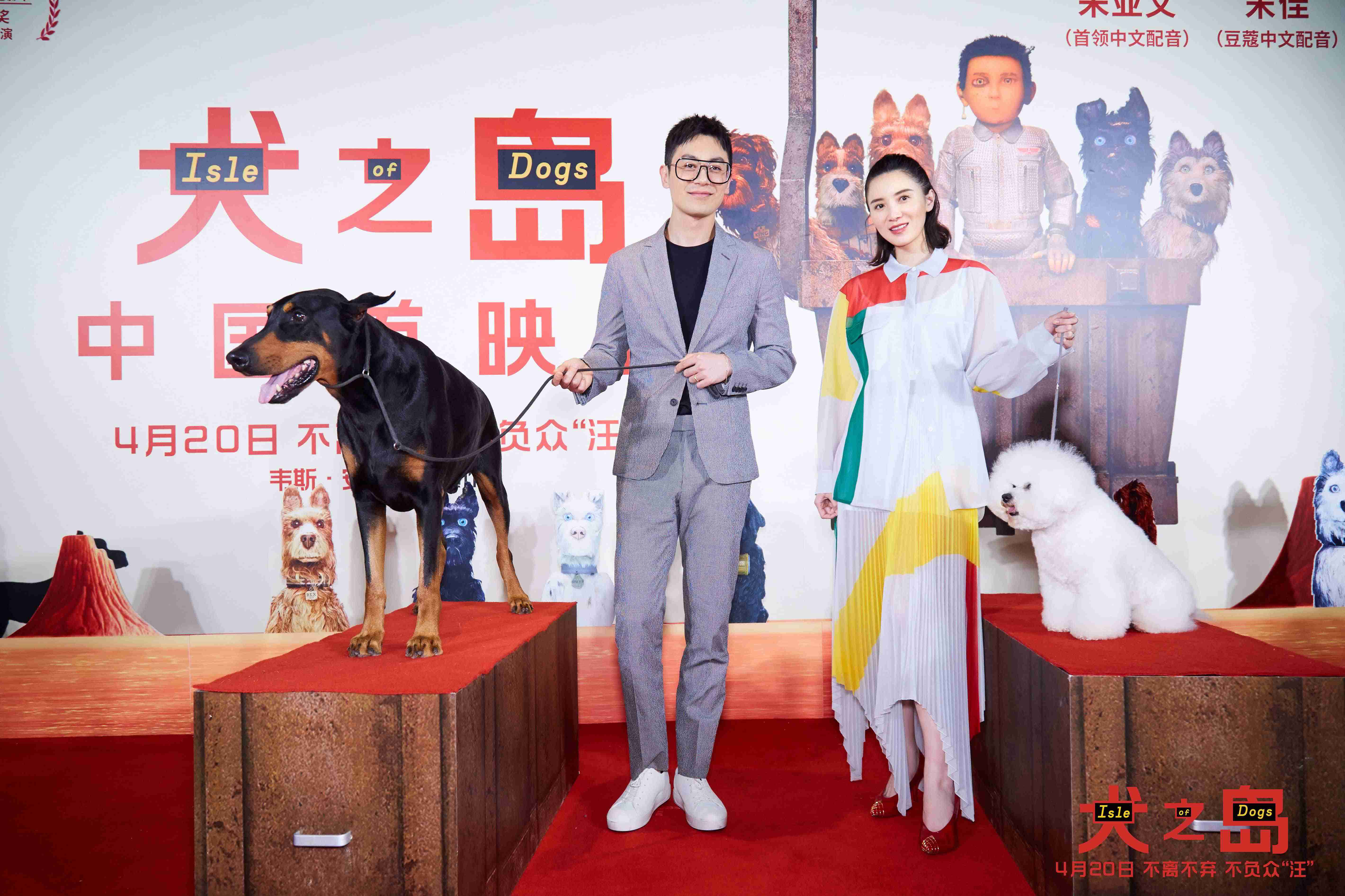 《犬之岛》首映狗狗红毯嗨翻全场 宋佳秀狗语朱亚文为其“翻译”