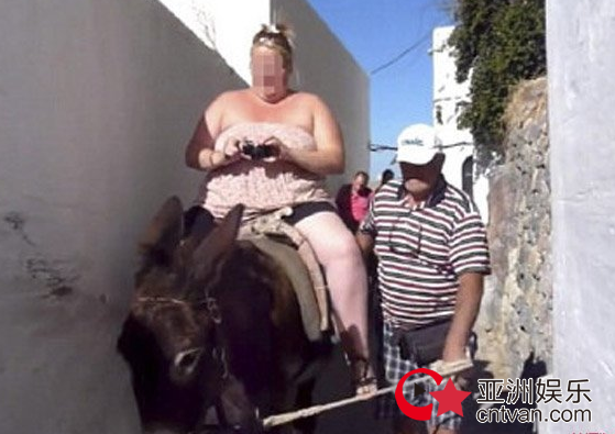 胖游客越来越多  希腊爱琴海的驴饱受摧残！