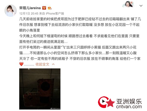 宋祖儿发文传递爱心 呼吁关爱流浪动物