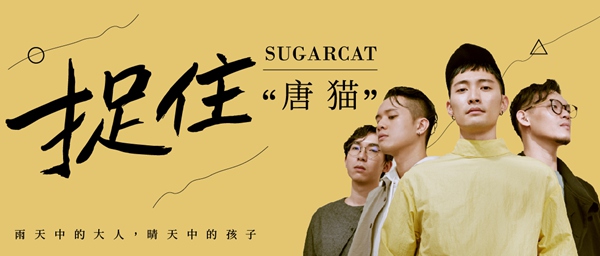 摩登天空“新人”乐队“唐猫”:四个人彼此不同,却碰撞出惊喜的音乐火花