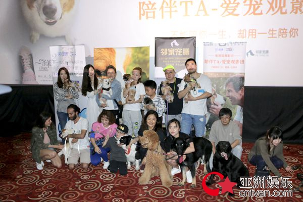 《一条狗的使命2》萌狗走进电影院 陪伴专场全国开启