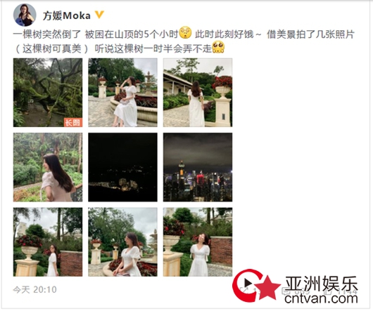 方媛借美景拍照片解闷 因大树倒塌被困山里五小时!