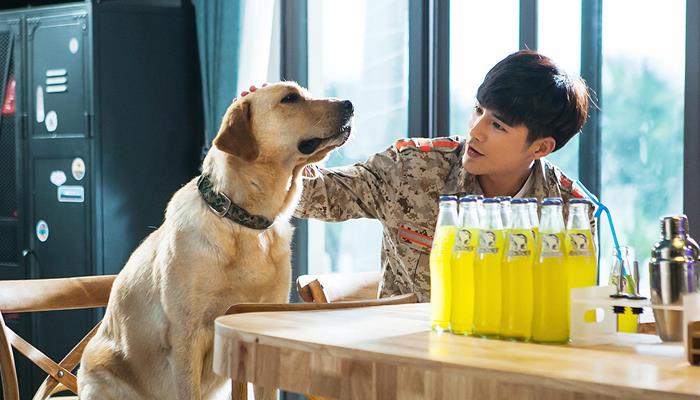 《神犬小七3》见证演员的姜潮成长