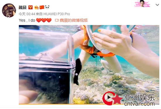 魏晨成功求婚 魏晨女友系其大学同学