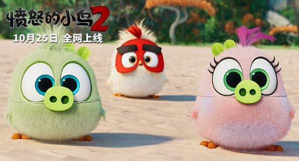 《愤怒的小鸟2》今日正式全网上线 萌鸟再次爆笑出击