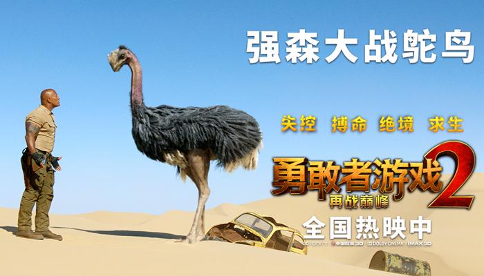 《勇敢者游戏2:再战巅峰》首日票房告捷 强森领队大战愤怒鸵鸟