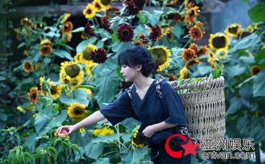 央视评李子柒为何火遍全球 讲好了中国文化和故事