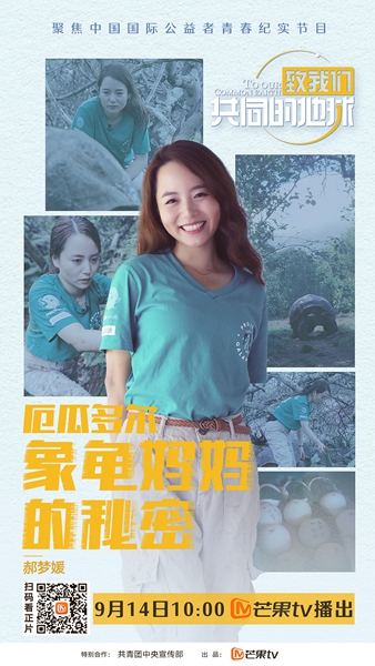 保护“陆龟之王”在行动,《致我们共同的地球》走近“象龟妈妈” 郝梦媛
