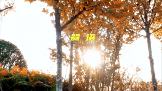 传递爱与温度,让机器温暖世界