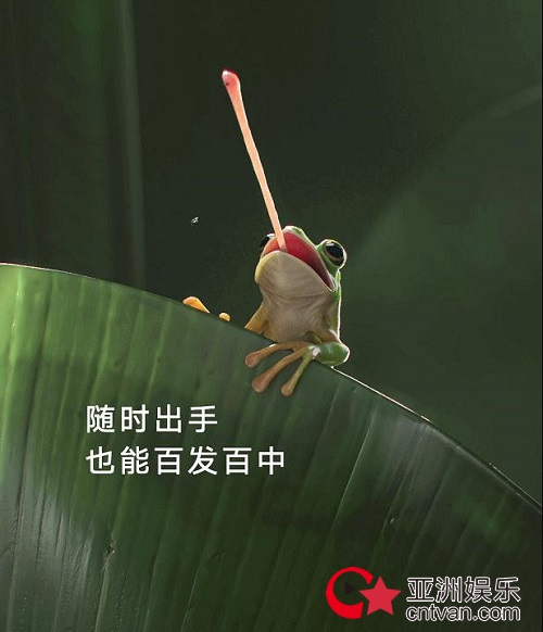 ͼƬ2.jpg