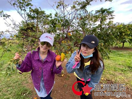 62岁刘芸妈妈状态超好 自称永远美不过妈妈
