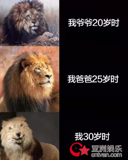陈学冬说不要每次都让我来辟谣 无奈发声cue粉丝帮忙