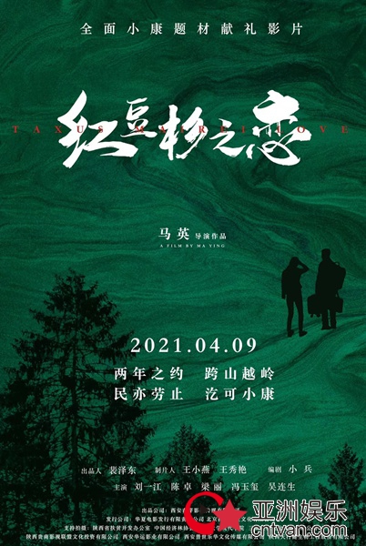 电影《红豆杉之恋》今上映,实力演员陈卓领衔主演