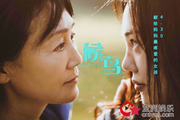 真情流露直击人心,五一档最深情电影《候鸟》让你知道如何珍惜当下