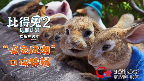 《比得兔2:逃跑计划》高分领跑 端午档唯一票房持续上扬影片